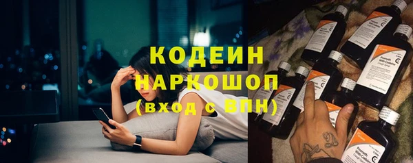 шишки Богородицк