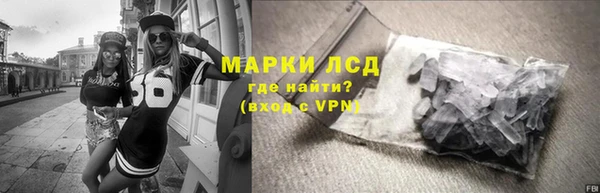гидра Богородск