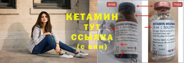 шишки Богородицк