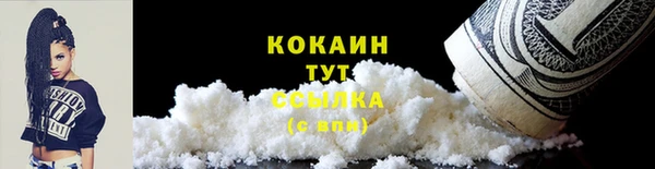 шишки Богородицк