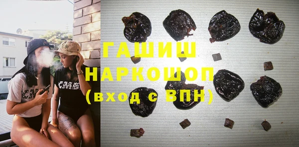 гидра Богородск