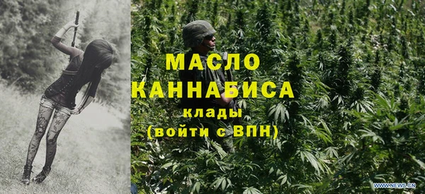 гидра Богородск