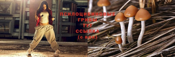 ешки Бронницы