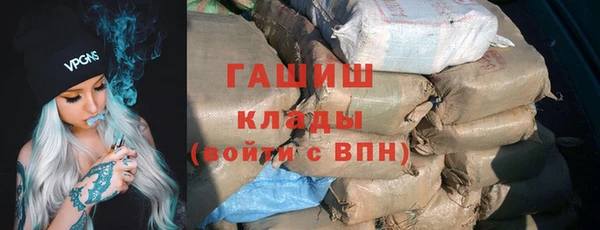 гидра Богородск