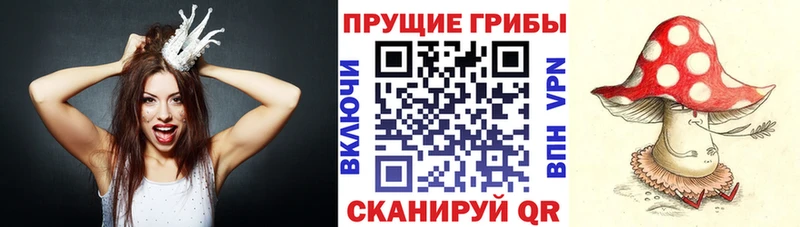 Галлюциногенные грибы Magic Shrooms  дарнет шоп  Гулькевичи 